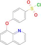 4-(Quinolin-8-yloxy)benzenesulfonyl chloride