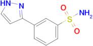 3-(1H-pyrazol-3-yl)benzene-1-sulfonamide