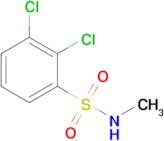 2,3-Dichloro-n-methylbenzenesulfonamide