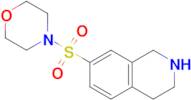 4-((1,2,3,4-Tetrahydroisoquinolin-7-yl)sulfonyl)morpholine