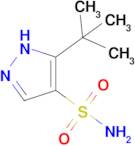 5-tert-butyl-1H-pyrazole-4-sulfonamide