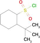 2-(Tert-butyl)cyclohexane-1-sulfonyl chloride