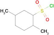 2,5-Dimethylcyclohexane-1-sulfonyl chloride