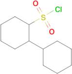 [1,1'-bi(cyclohexane)]-2-sulfonyl chloride