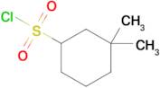 3,3-Dimethylcyclohexane-1-sulfonyl chloride