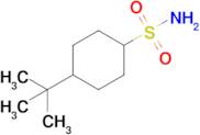 4-(Tert-butyl)cyclohexane-1-sulfonamide