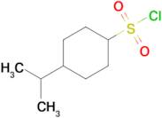 4-Isopropylcyclohexane-1-sulfonyl chloride