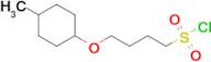 4-((4-Methylcyclohexyl)oxy)butane-1-sulfonyl chloride