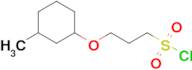 3-((3-Methylcyclohexyl)oxy)propane-1-sulfonyl chloride