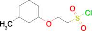 2-((3-Methylcyclohexyl)oxy)ethane-1-sulfonyl chloride