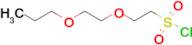 2-(2-Propoxyethoxy)ethane-1-sulfonyl chloride