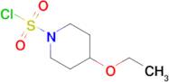 4-Ethoxypiperidine-1-sulfonyl chloride