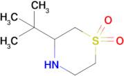 3-(Tert-butyl)thiomorpholine 1,1-dioxide