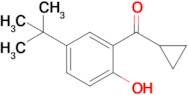 (5-(Tert-butyl)-2-hydroxyphenyl)(cyclopropyl)methanone