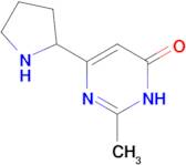 2-methyl-6-(pyrrolidin-2-yl)-3,4-dihydropyrimidin-4-one