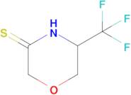 5-(Trifluoromethyl)morpholine-3-thione