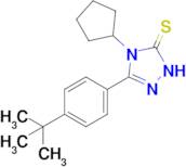 3-(4-tert-butylphenyl)-4-cyclopentyl-4,5-dihydro-1H-1,2,4-triazole-5-thione