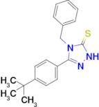 4-benzyl-3-(4-tert-butylphenyl)-4,5-dihydro-1H-1,2,4-triazole-5-thione