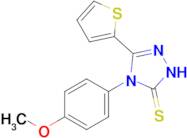 4-(4-methoxyphenyl)-3-(thiophen-2-yl)-4,5-dihydro-1H-1,2,4-triazole-5-thione