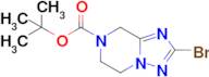 tert-Butyl 2-bromo-5,6-dihydro-[1,2,4]triazolo[1,5-a]pyrazine-7(8H)-carboxylate