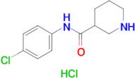 N-(4-Chlorophenyl)piperidine-3-carboxamide hydrochloride