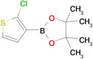 2-(2-Chlorothiophen-3-yl)-4,4,5,5-tetramethyl-1,3,2-dioxaborolane