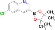 6-Chloro-3-(4,4,5,5-tetramethyl-1,3,2-dioxaborolan-2-yl)quinoline