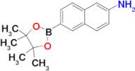 6-(4,4,5,5-Tetramethyl-1,3,2-dioxaborolan-2-yl)naphthalen-2-amine