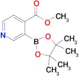 Methyl 3-(4,4,5,5-tetramethyl-1,3,2-dioxaborolan-2-yl)isonicotinate