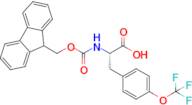 (S)-2-((((9H-fluoren-9-yl)methoxy)carbonyl)amino)-3-(4-(trifluoromethoxy)phenyl)propanoic acid