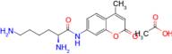 (S)-2,6-diamino-N-(4-methyl-2-oxo-2H-chromen-7-yl)hexanamide acetate