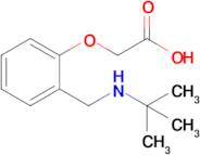 2-(2-((Tert-butylamino)methyl)phenoxy)acetic acid