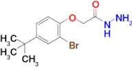 2-(2-Bromo-4-(tert-butyl)phenoxy)acetohydrazide