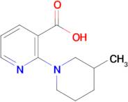 2-(3-Methylpiperidin-1-yl)nicotinic acid