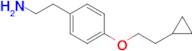 2-(4-(2-Cyclopropylethoxy)phenyl)ethan-1-amine