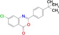 2-(4-(Tert-butyl)phenyl)-7-chloro-4H-benzo[d][1,3]oxazin-4-one