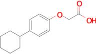 2-(4-Cyclohexylphenoxy)acetic acid