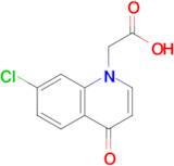 2-(7-Chloro-4-oxoquinolin-1(4H)-yl)acetic acid