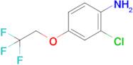 2-Chloro-4-(2,2,2-trifluoroethoxy)aniline