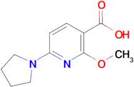 2-Methoxy-6-(pyrrolidin-1-yl)nicotinic acid