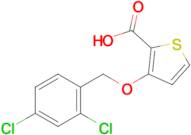 3-((2,4-Dichlorobenzyl)oxy)thiophene-2-carboxylic acid