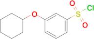 3-(Cyclohexyloxy)benzenesulfonyl chloride