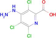 3,5,6-Trichloro-4-hydrazinylpicolinic acid