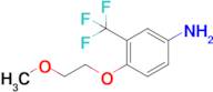 4-(2-Methoxyethoxy)-3-(trifluoromethyl)aniline