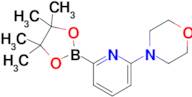 4-(6-(4,4,5,5-Tetramethyl-1,3,2-dioxaborolan-2-yl)pyridin-2-yl)morpholine