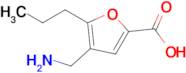 4-(Aminomethyl)-5-propylfuran-2-carboxylic acid