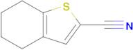 4,5,6,7-Tetrahydrobenzo[b]thiophene-2-carbonitrile