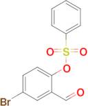 4-Bromo-2-formylphenyl benzenesulfonate