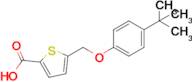 5-((4-(Tert-butyl)phenoxy)methyl)thiophene-2-carboxylic acid