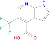 5-(trifluoromethyl)-1H-pyrrolo[2,3-b]pyridine-4-carboxylic acid